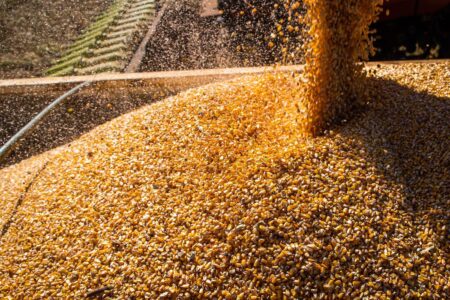 Estado alcança também a terceira posição nacional em números de postos formais criados no campo